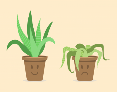 two cartoon plants, one with a happy face that is alive and one with a sad face that appears to be dying